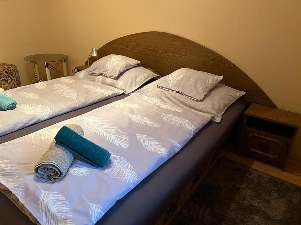 Rehab Apartment Heviz Bagian luar foto